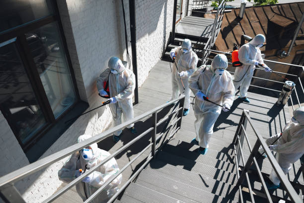 Forensic Mold Investigation in Lanett, AL