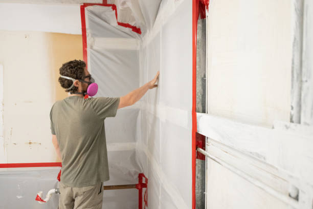 Best Asbestos and Lead Testing During Mold Inspection  in Lanett, AL