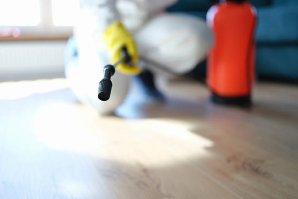 Best Biohazard Mold Removal  in Lanett, AL