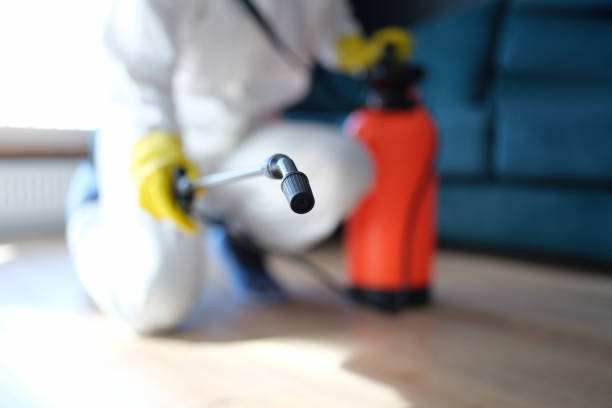 Best Dehumidification Services  in Lanett, AL