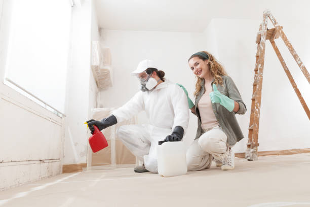 Best Mold Prevention Services  in Lanett, AL