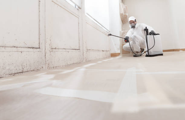 Best Mold Removal for HVAC Installations  in Lanett, AL