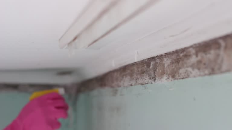 Best Real Estate Mold Inspection  in Lanett, AL
